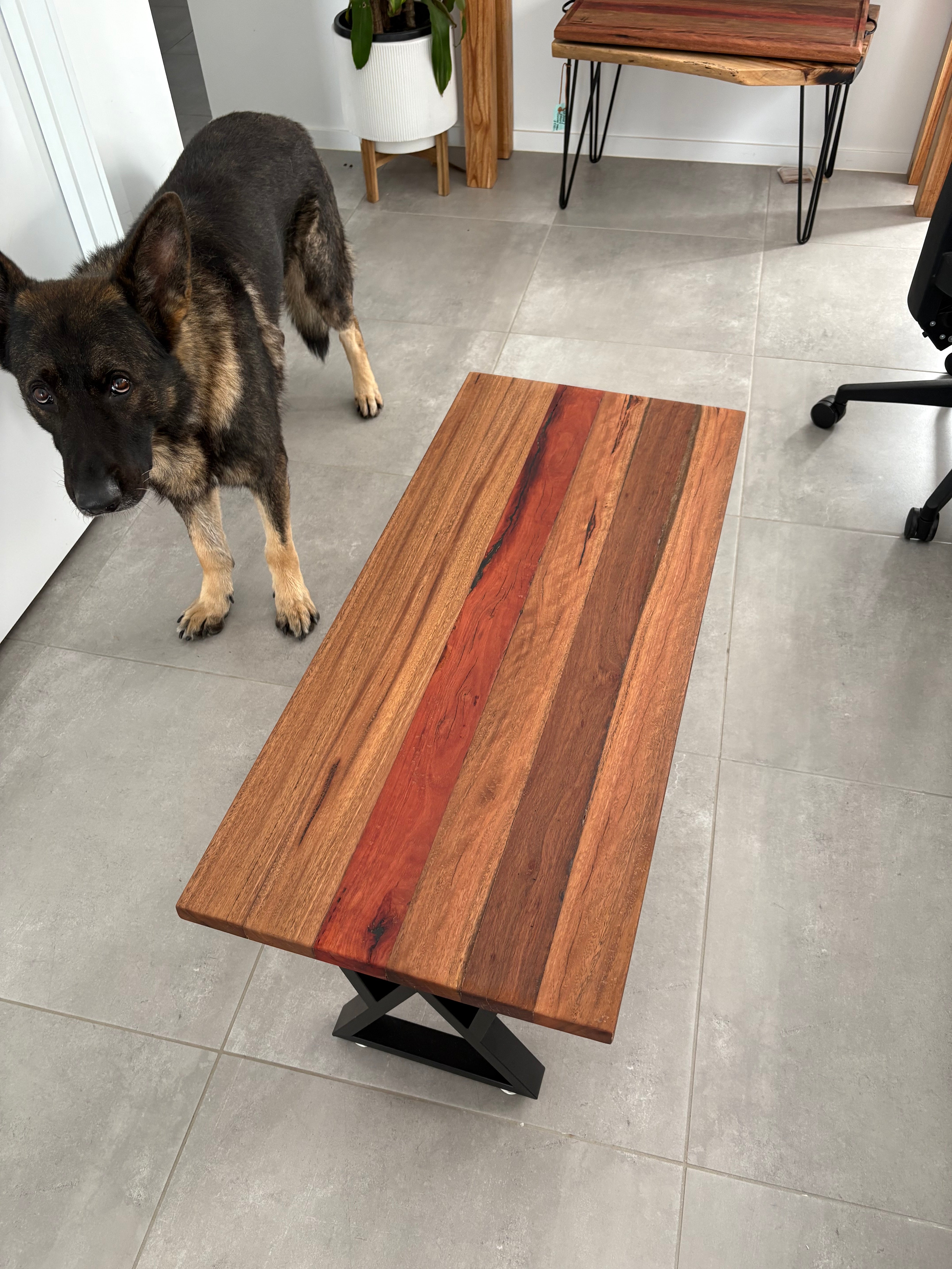 Hornets Coffee Table